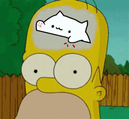 Bongocatsolana Bongosolana GIF