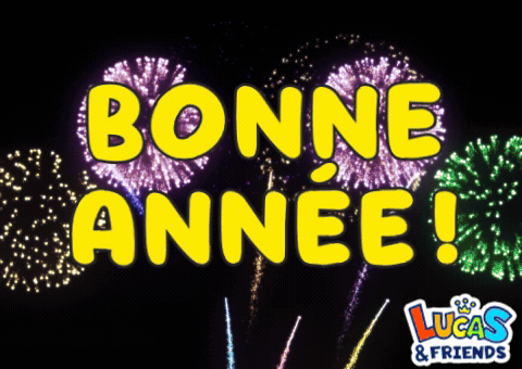Bonne Année Bonne Annee GIF