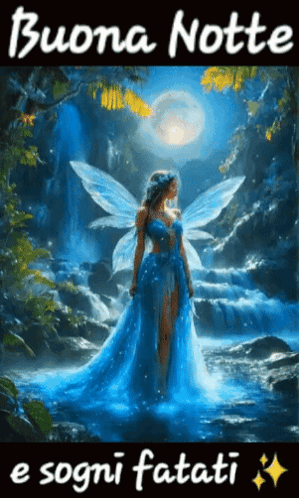 Bonne Nuit Buenas Noche GIF