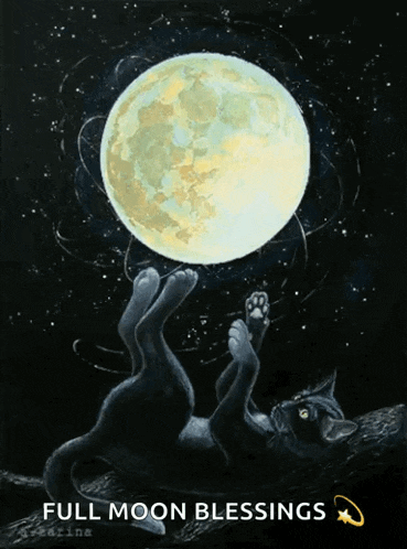 Bonne Nuit Moon GIF