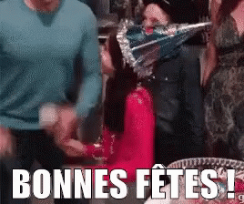 Bonnes Fêtes GIF