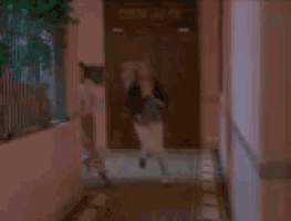 Boob Bouncy GIF