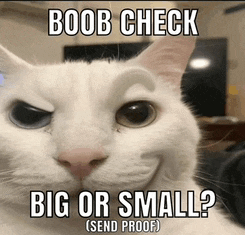 Booba Meme