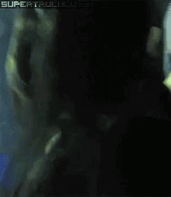 Boobies GIF