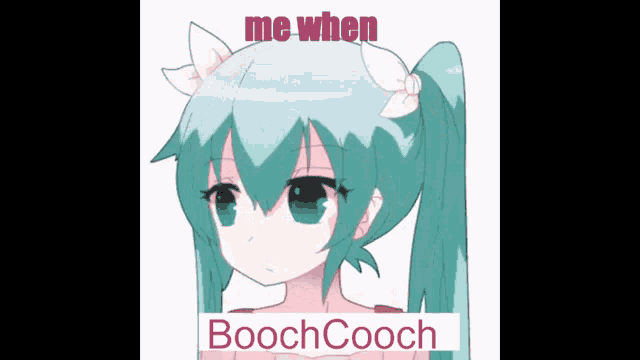 Booch GIF