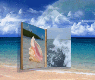 Book And Ocean GIF