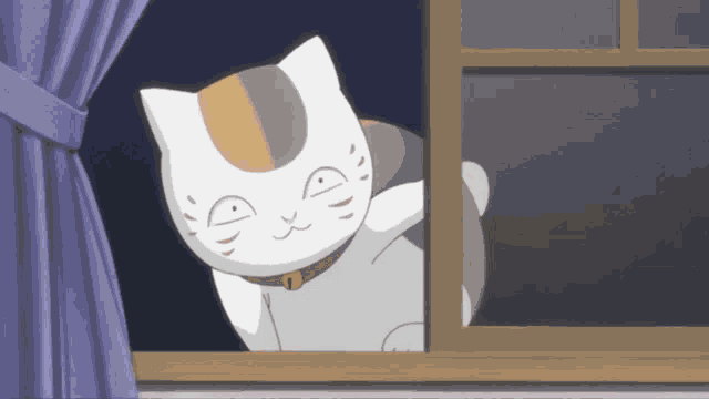 Book Of Friends Cat GIF