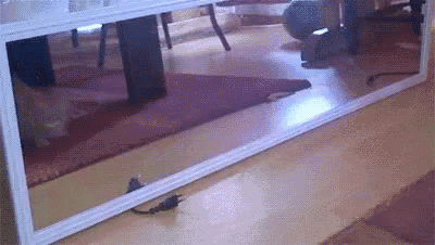 Boom GIF