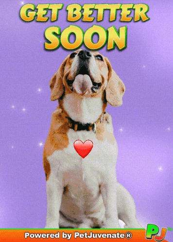Boop Bork Blep Boof And Hound Dog Dog Lingo Shippin Or Trippin Pawz GIF
