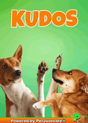 Boop Bork Blep Boof And Hound Dog Dog Speak Congratulations Awesome Pawsome GIF