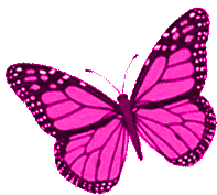 Borboletas Butterflies Sticker