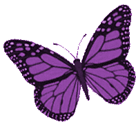 Borboletas Butterflies Sticker