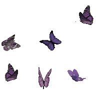 Borboletas Butterflies Sticker