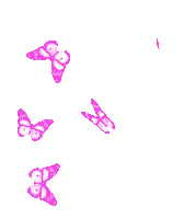 Borboletas Butterflies Sticker