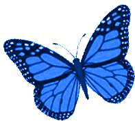 Borboletas Butterfly Sticker