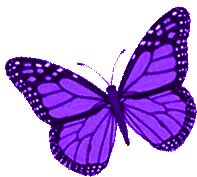 Borboletas Butterfly Sticker