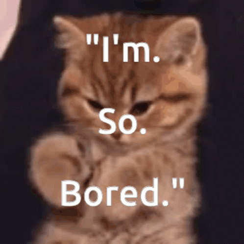 Bored Bored Cat GIF