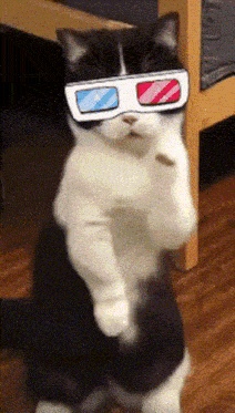 Boredmemes Notacult GIF