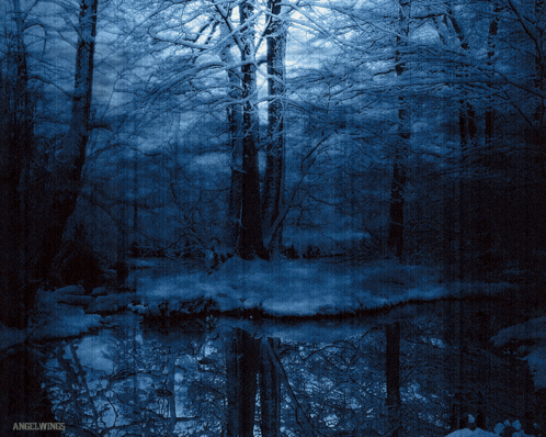 Bos Woods GIF