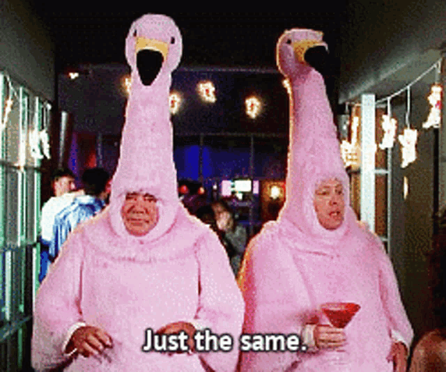 Boston Legal Boston GIF