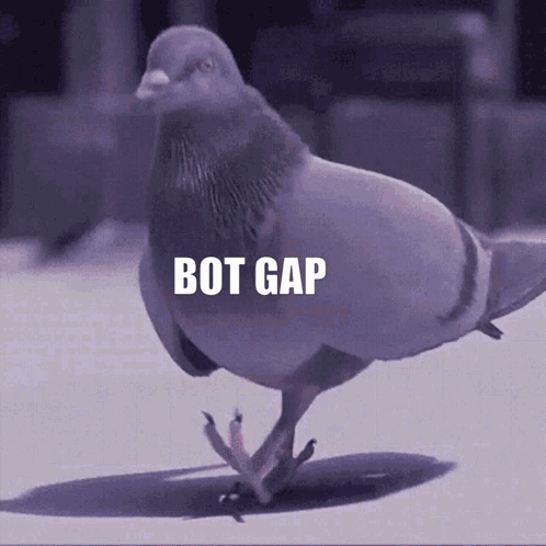 Botgap GIF. This 498 x 498 animated GIF is part of our funny pigeon collection. Created by kenber. View the original animation, share it, or browse related…