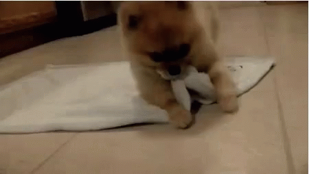 Bourbon Love You GIF