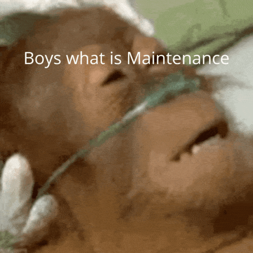 Boys What Is Maintenance Maintenance GIF