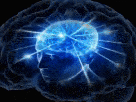 Brain Brain Meme GIF