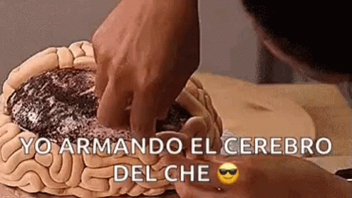 Brain Cake Yo Armando El Cerebro Del Che GIF