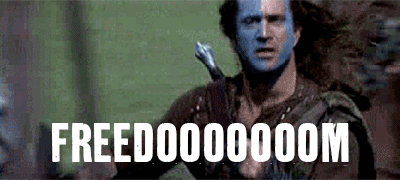 Braveheart Freedom GIF