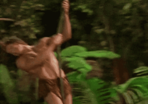 Brendan Fraser George Of The Jungle GIF