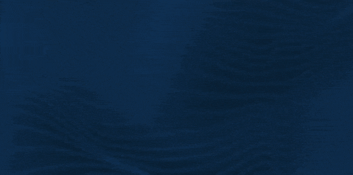Brewers Win Milwaukee Brewers GIF