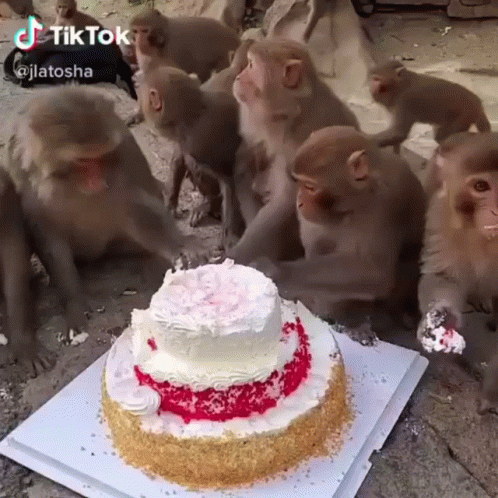 Brexby Brexby Monkey GIF