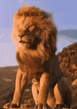 Brfn12 Brf12 GIF