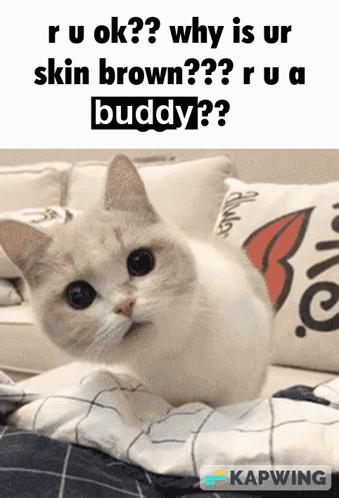 Brick Rigs Meme GIF