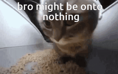 Bro Might Be Onto Nothing GIF. This 498 x 315 animated GIF is part of our get to the choppa collection. Created by yayo3007. View the original animation…