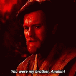 Brother Anakin GIF