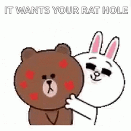 Brown Cony GIF