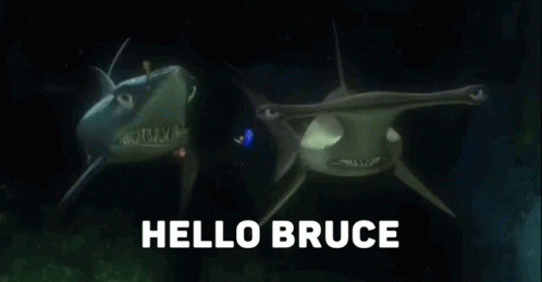 Bruce Hello GIF. This 498 x 259 animated GIF is part of our fish are friends not food collection. Related themes include fish, food, hello. Created by…