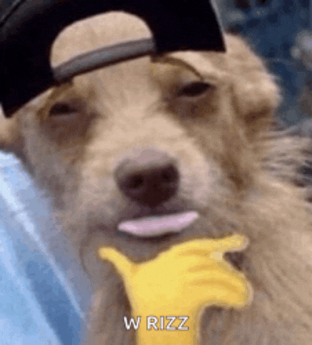 Bruh Rizz Meme