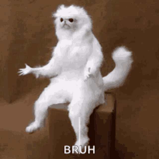 Bruh Rpx Syria GIF