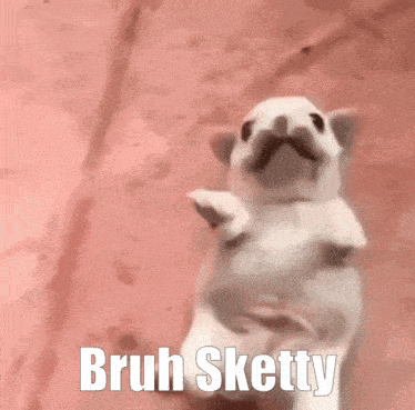 Bruh Sketty Goofball GIF