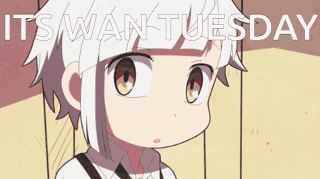 Bsd Bsd Wan GIF