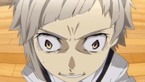 Bsd Bungo Stray Dogs GIF