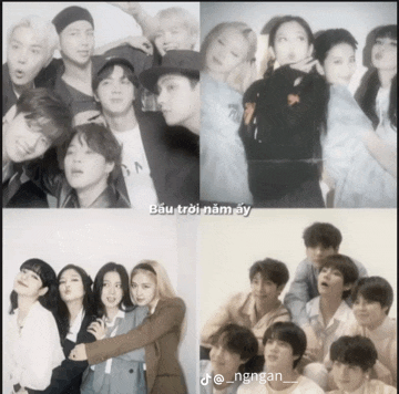 Bts Black Pink Meme