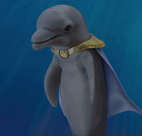 Bubbles Bubbles Dolphin GIF