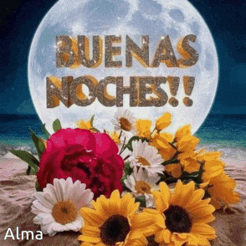Buenas Noches Alma GIF