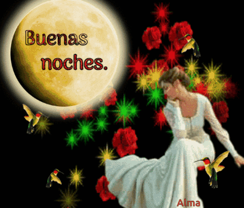 Buenas Noches GIF