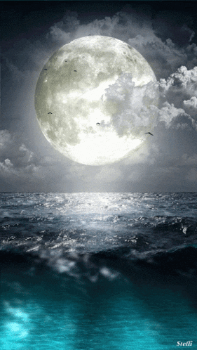 Buenas Noches GIF