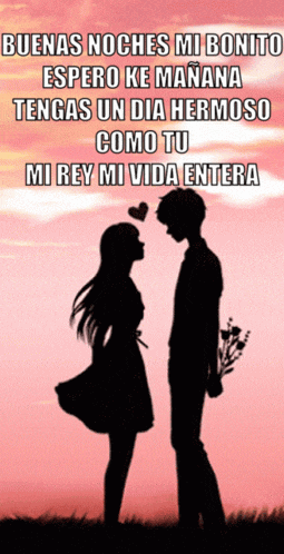 Buenas Noches Mi Amor Te Amo GIF